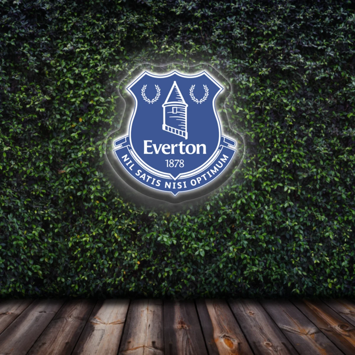 premier league Everton led neon sign